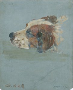 Tête de chien - Walther Gamerith