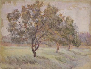Arbres fruitiers