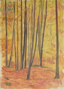 Intérieur de forêt