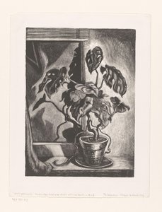 Philodendron sur le rebord de la fenêtre