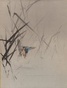 Oiseau attrapant un poisson parmi les roseaux, vers 1887 - Watanabe Seitei