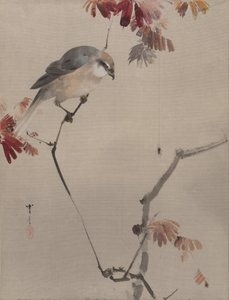 Oiseau sur une branche regardant une araignée - Watanabe Seitei