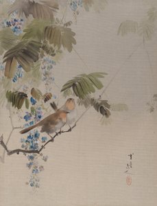 Oiseaux et fleurs, vers 1887 - Watanabe Seitei