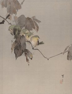 Oiseaux sur une branche, vers 1887 - Watanabe Seitei