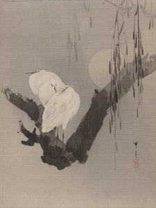 Aigrettes dans un arbre la nuit, vers 1887