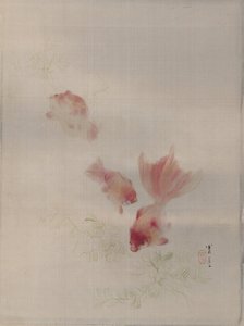 Poissons rouges, vers 1887 - Watanabe Seitei