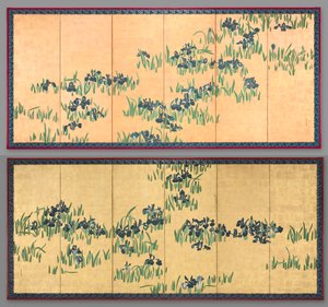 Iris - Watanabe Shiko