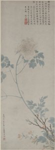 Pivoine