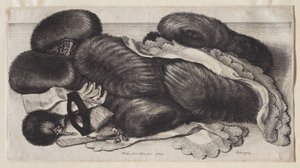  - Wenceslaus Hollar