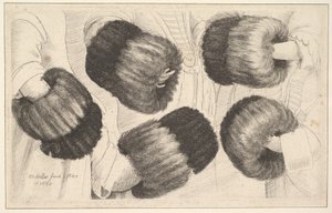 Une moufle en cinq vues, 1645-46 - Wenceslaus Hollar