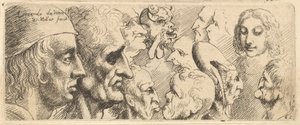 Une variété de têtes, 1625-77 - Wenceslaus Hollar
