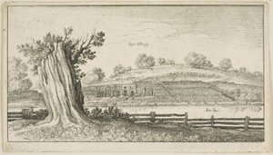 Albury avec une souche d