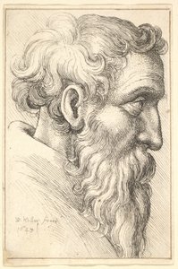 Vieil homme barbu de profil à droite, 1645