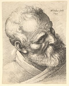 Vieil homme barbu avec la tête inclinée, 1645 - Wenceslaus Hollar