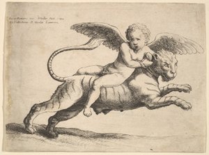 Cupidon sur un tigre - Wenceslaus Hollar