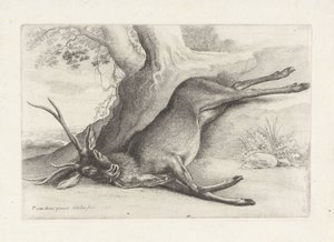 Cerf abattu, Jacht, jachthonden en wild (titre de la série) - Wenceslaus Hollar