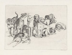 Onze chiens de chasse - Wenceslaus Hollar