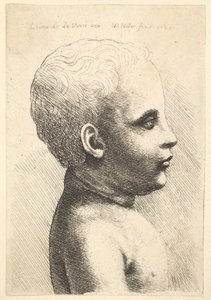 Tête et épaule d
