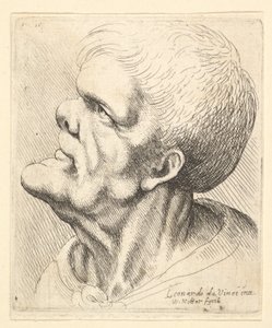 Tête d