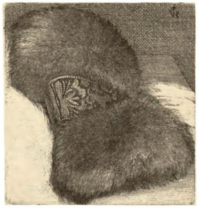 Manchon avec une bande de brocart - Wenceslaus Hollar