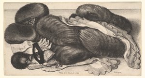  - Wenceslaus Hollar