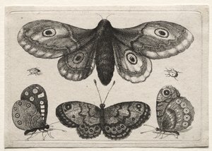  - Wenceslaus Hollar