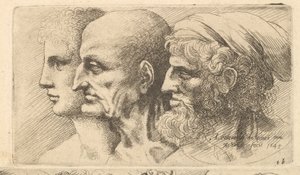 Rangée de trois têtes de profil à gauche, 1645 - Wenceslaus Hollar