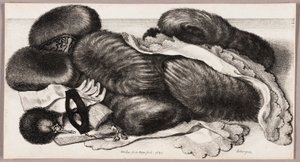 Nature morte avec un groupe de manchons, une paire de gants et deux mouchoirs