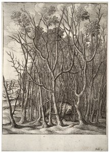 Le renard et le buisson d