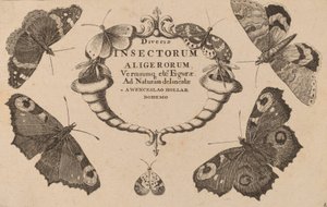 Page de titre - Wenceslaus Hollar