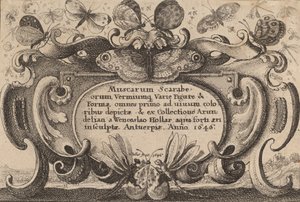Page de titre, 1646 - Wenceslaus Hollar