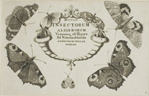 Page de titre de Diversae Insectorum