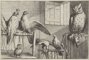 Faucons et hiboux dans une grange