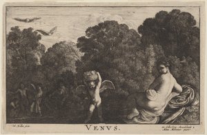 Vénus