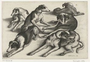 Six chiens de chasse couchés - Wenceslaus Hollar
