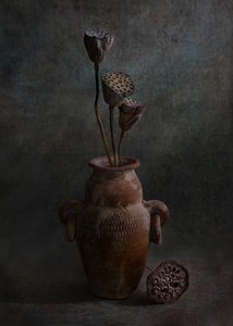 - Wendy Xu