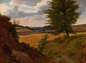Arbre dans un paysage de champs, étude - Werner Holmberg