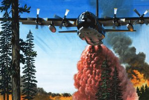 Bombarder un feu de forêt - Wilf (20th century) Hardy