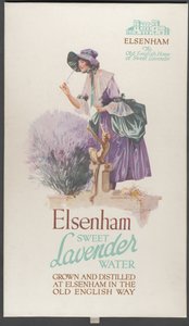 Lavande d