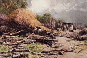 Japhet au travail