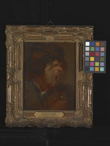Médecine amère