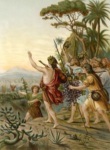 Les éclaireurs du pays de Canaan