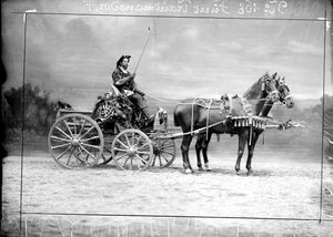 Charles prince de et à Trauttmansdorff-Weinsberg conduisant un carrosse