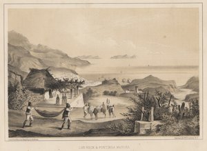 Loo Rock et Pontinha Madeira, 1855