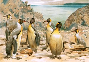 Pingouins géants