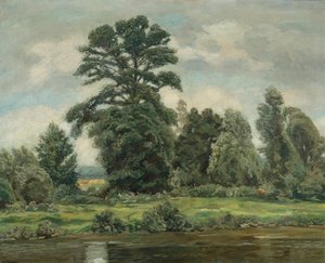 Paysage de marais