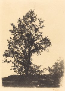 Le grand arbre