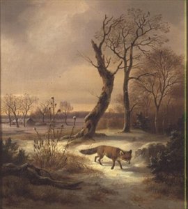 Renard dans une scène d