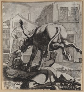 Le fou qui se vante de son autorité - Wilhelm Stettler