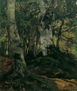 Forêt de hêtres avec couple amoureux